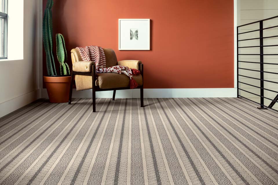 dusty red orange wall with patterned carpet and cactus